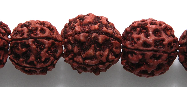 16WO157-R: Rudraksha Seed Red/brown 16mm 100PST
