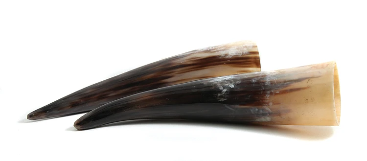 HR100-13SP: Steer Horn 12IN Average Pair - 1 Pair