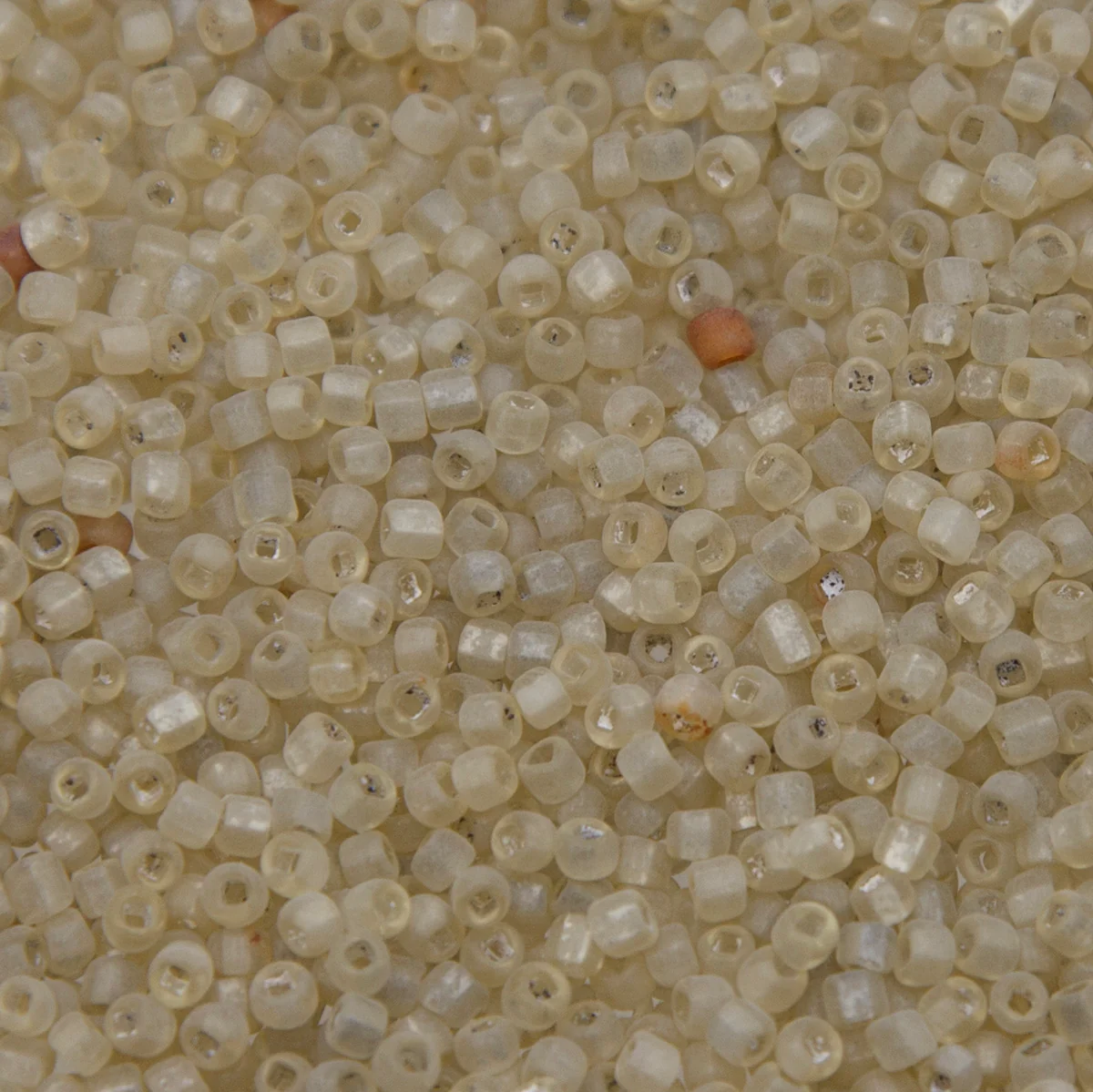 SV100-139: Vintage Venetian Seed Bead Greenish Crystal SQ Hole Frosted 10/0 - 250 Grams